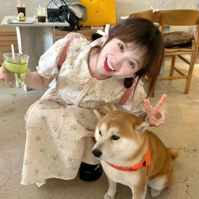 人生真美丽国语
